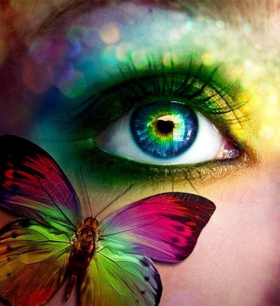 Совенок в очках