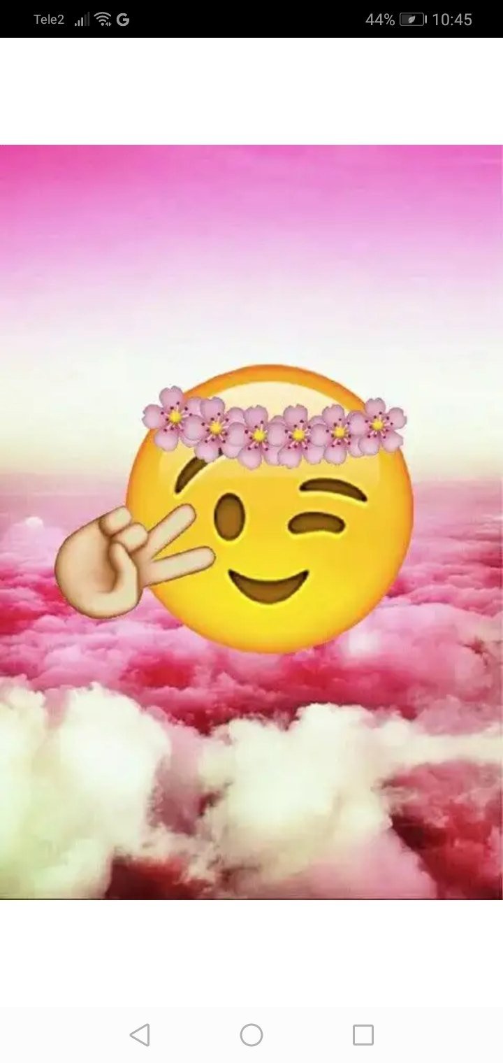 Shu Mizoguchi животные