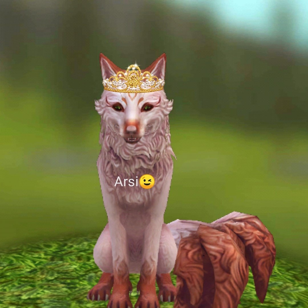 Ava вилд крафт