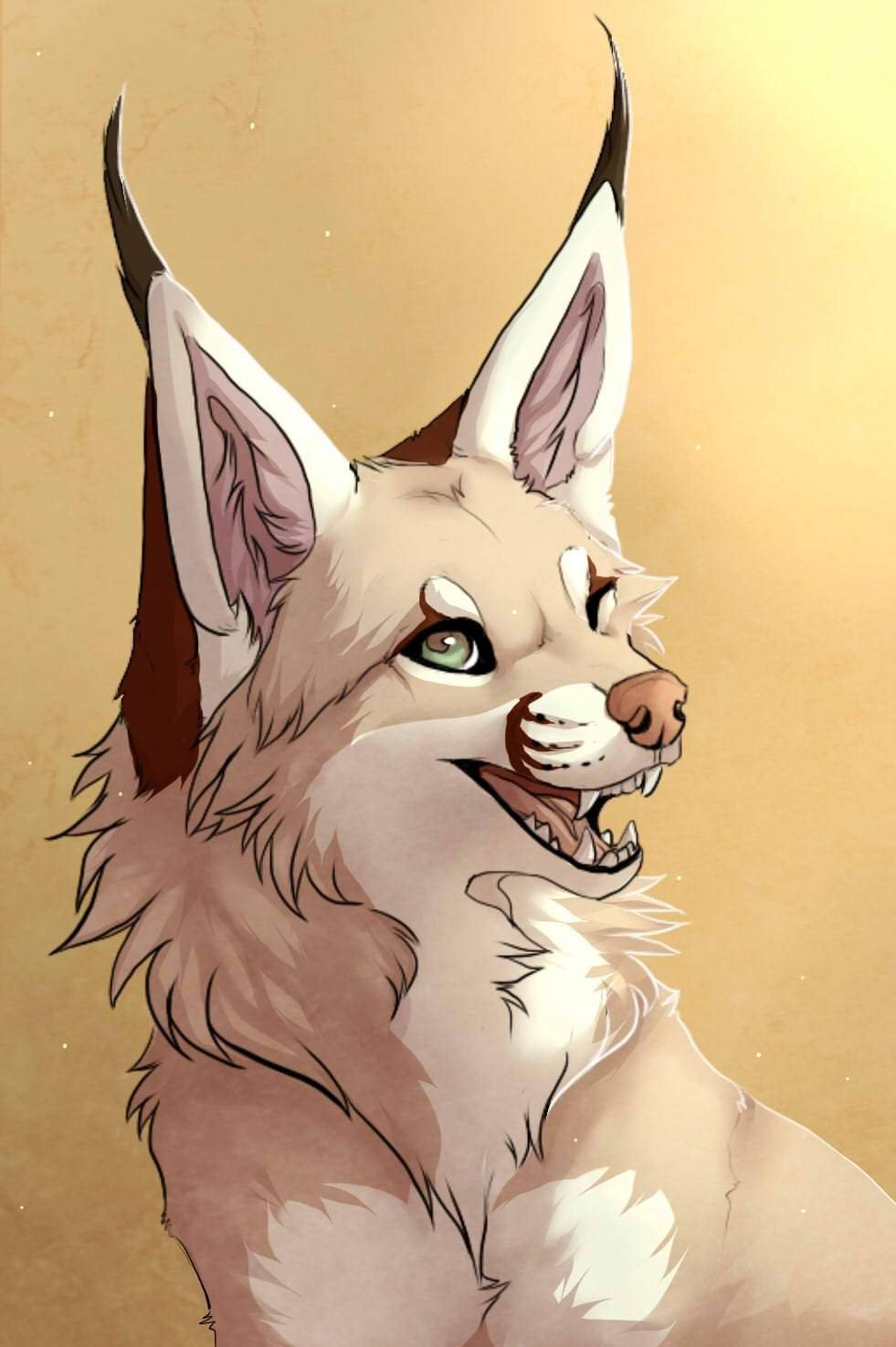 Вайлд крафт арт