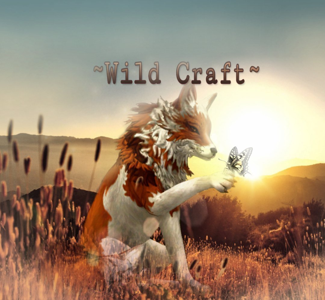 Вайлд крафт