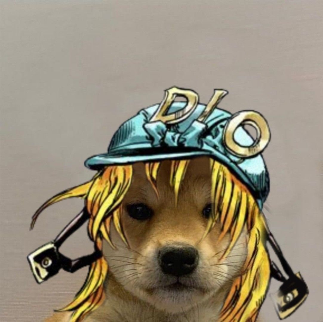 Авы Джоджо собаки Диего