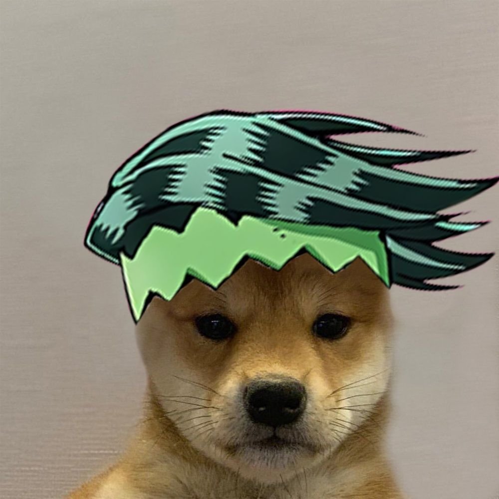 Собака Джо Джо ава