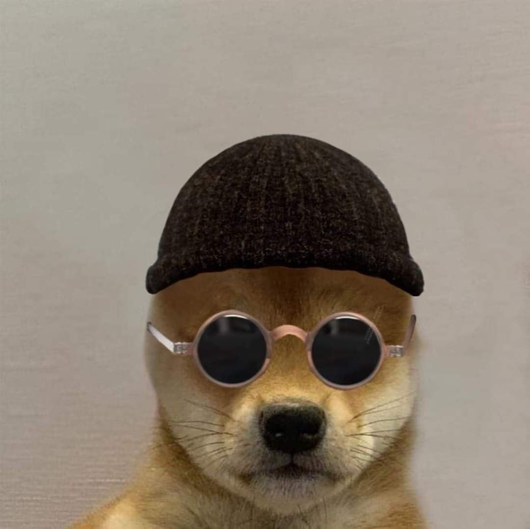 Смешная ава дио собака