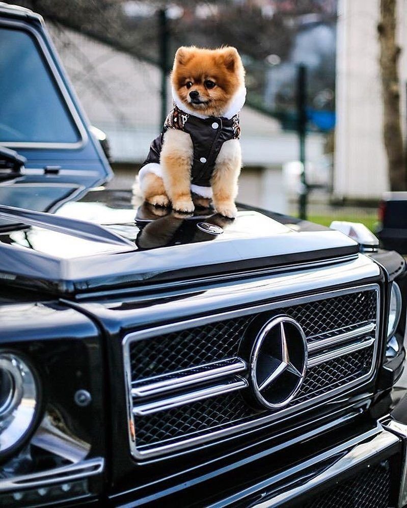 Фотосессия с машиной парень в кепке