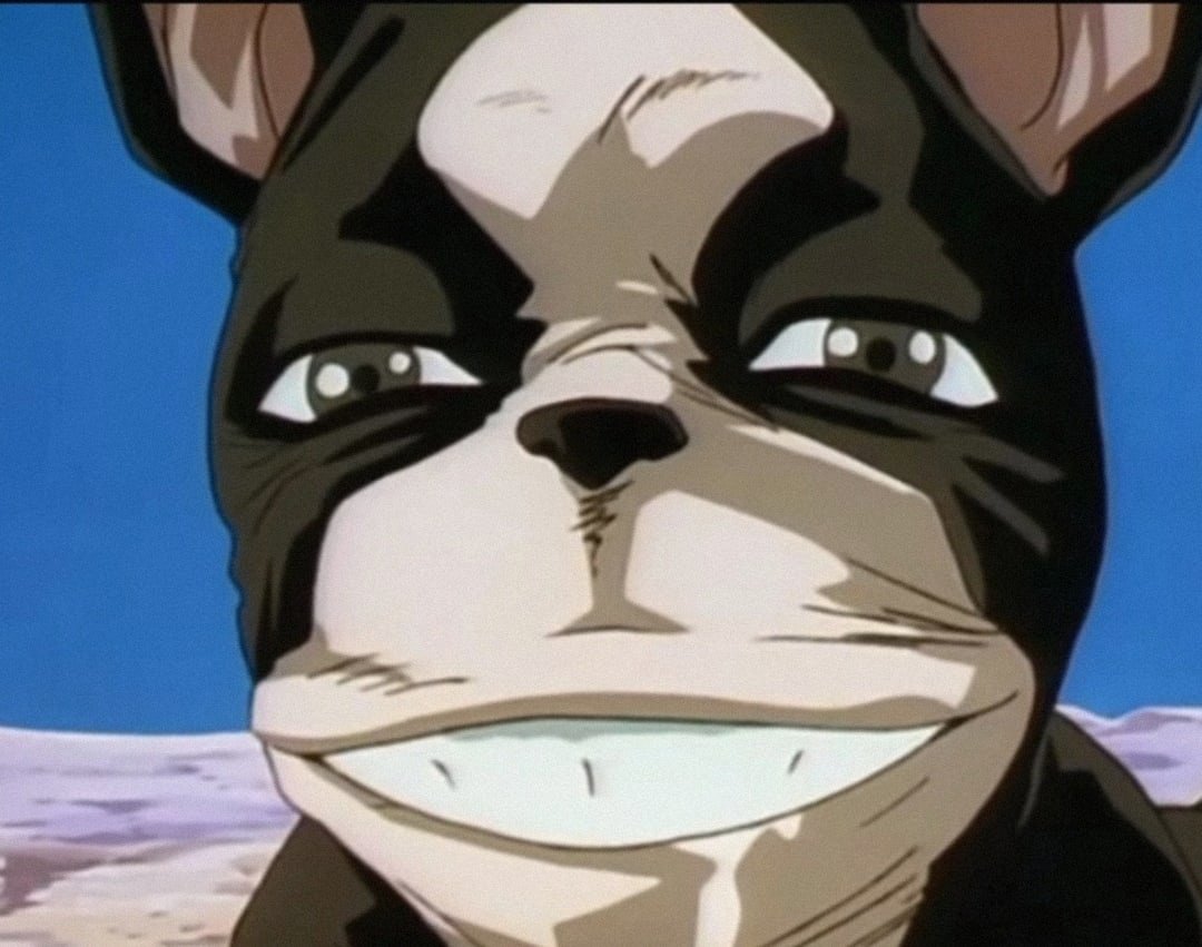 Дио Брандо это я дио