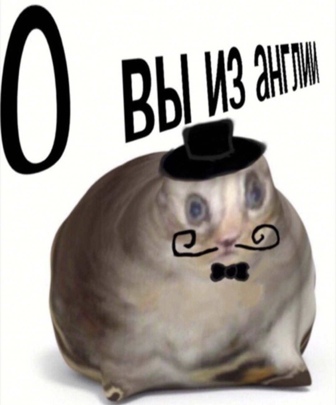 Аниме школа моя геройская Академия