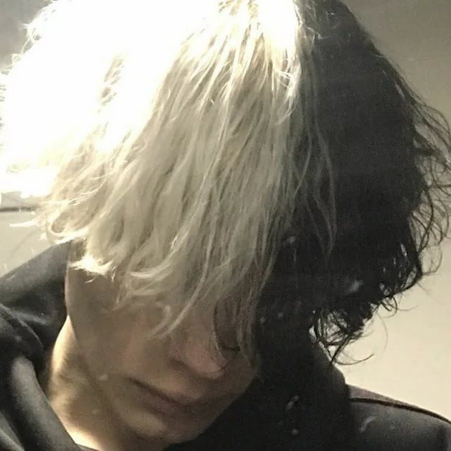 Лошадь на аву