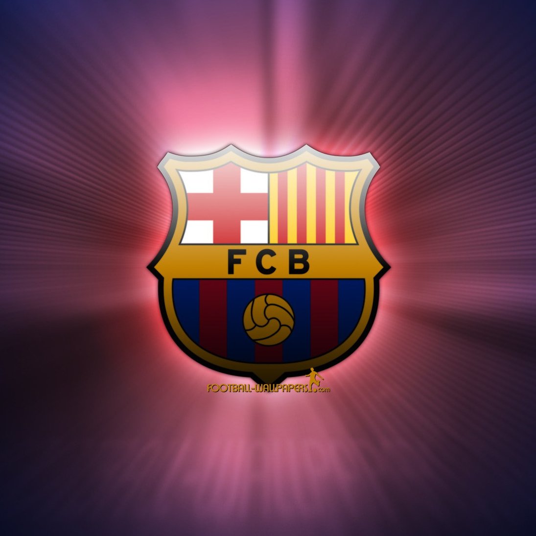 Барса на аву