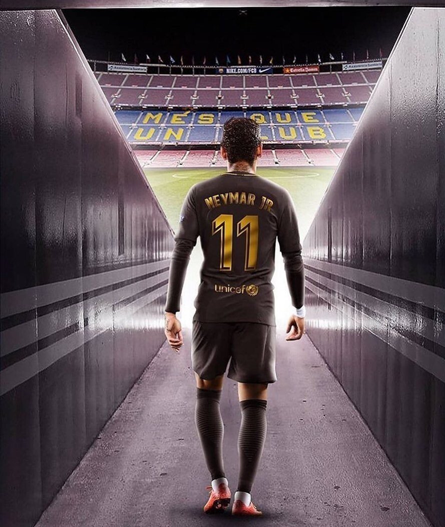 Кошка в форме ФК Барселона