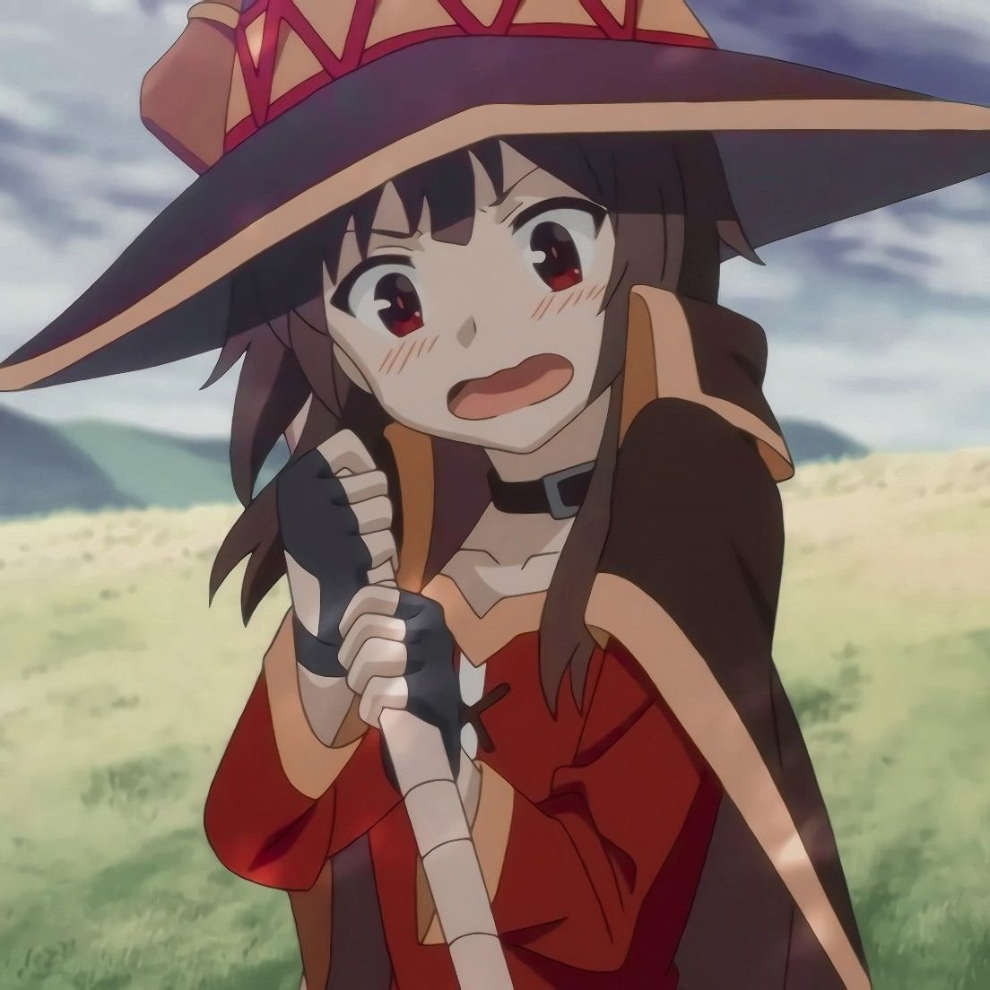 Мегумин сёгун