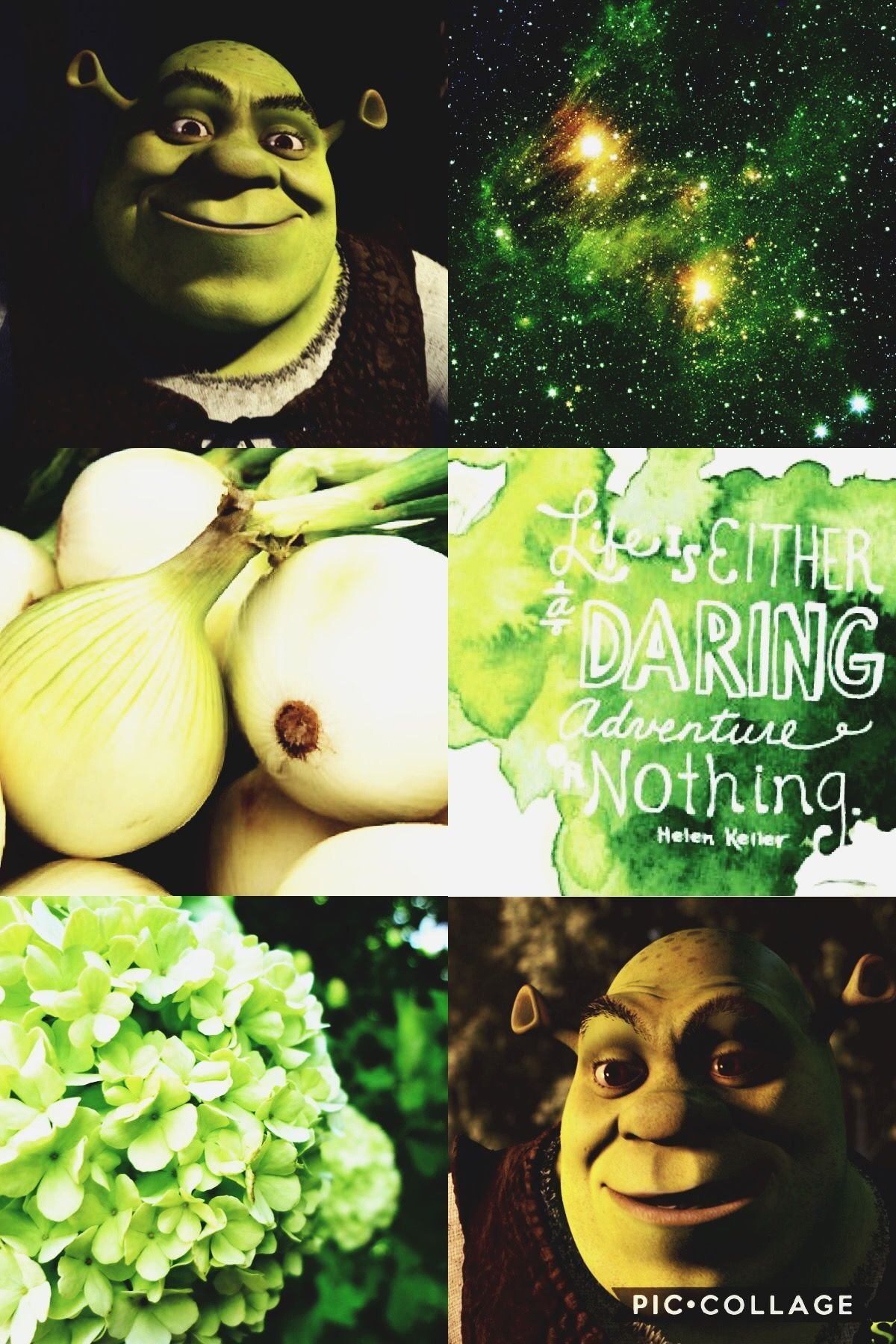 Туалет Шрека