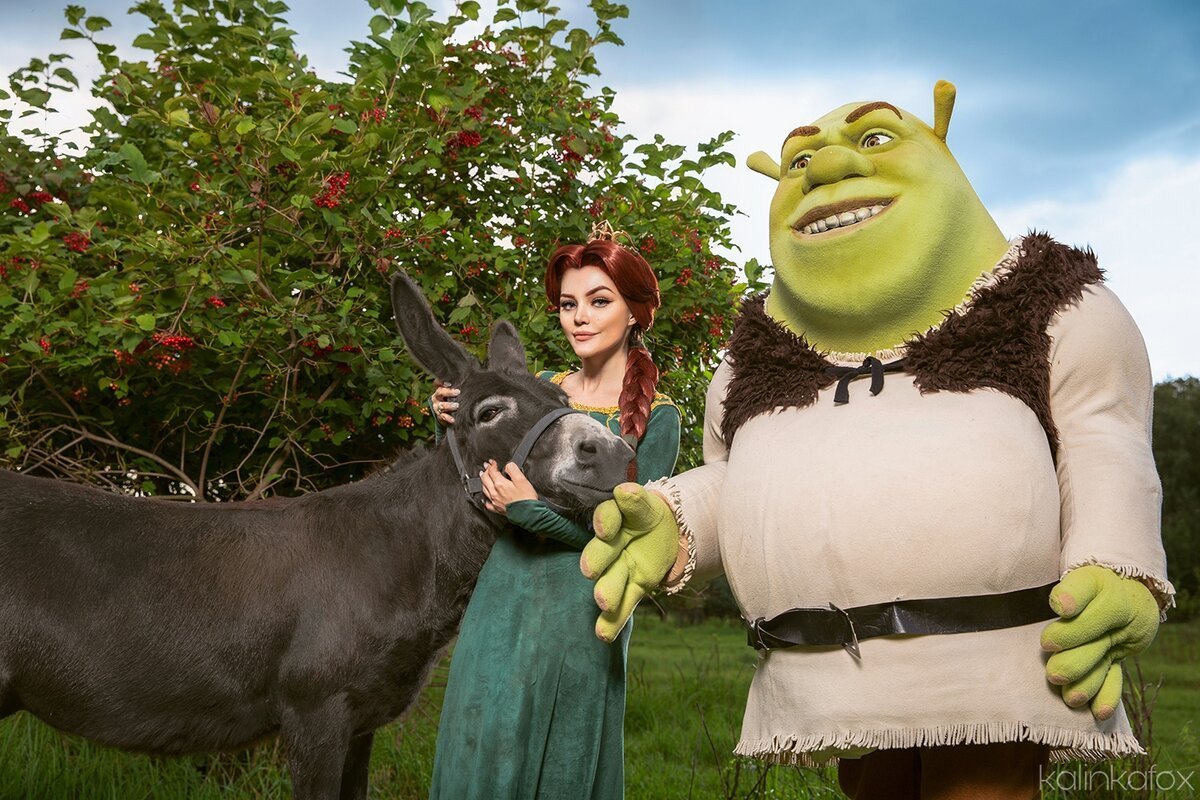 Шрек и Фиона