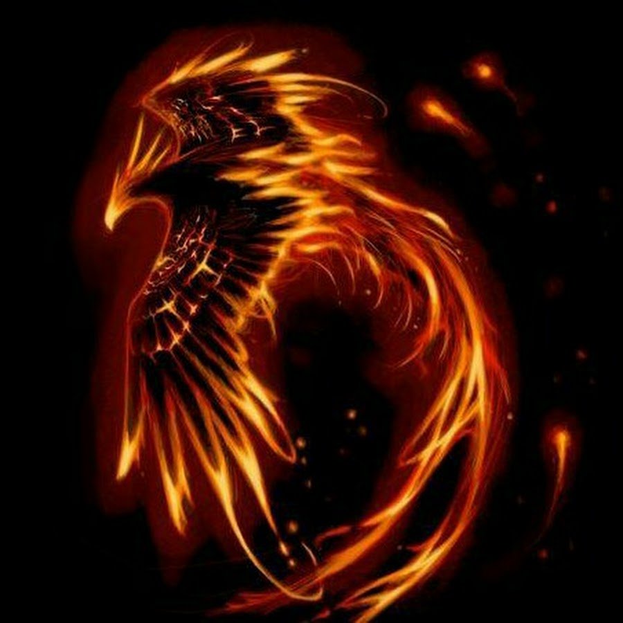 Феникс Финист изображение