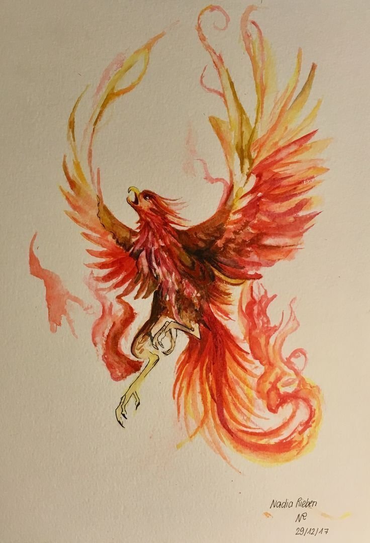 Феникс Фоукс из Гарри Поттера