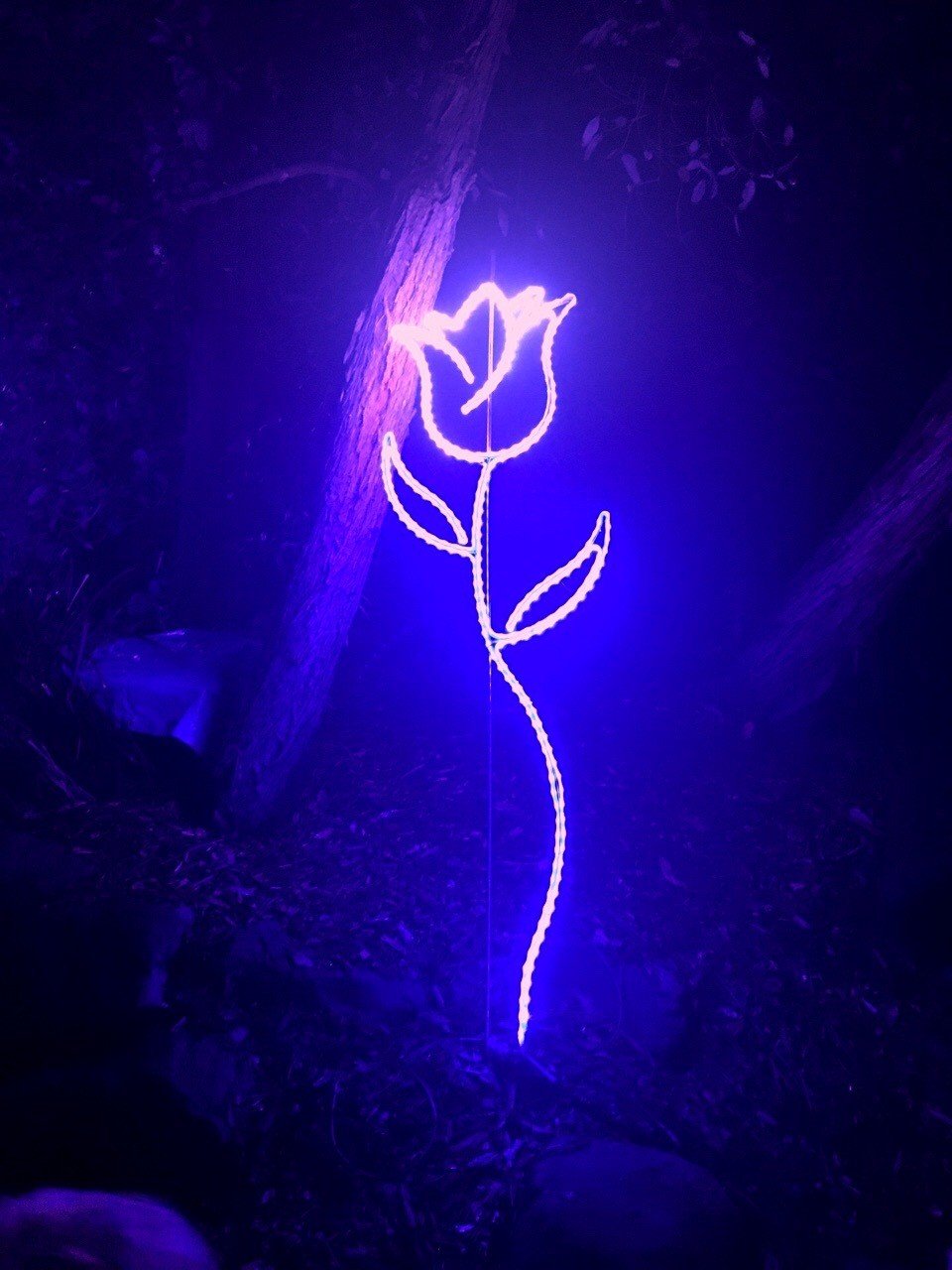 Фиолетовая тьма