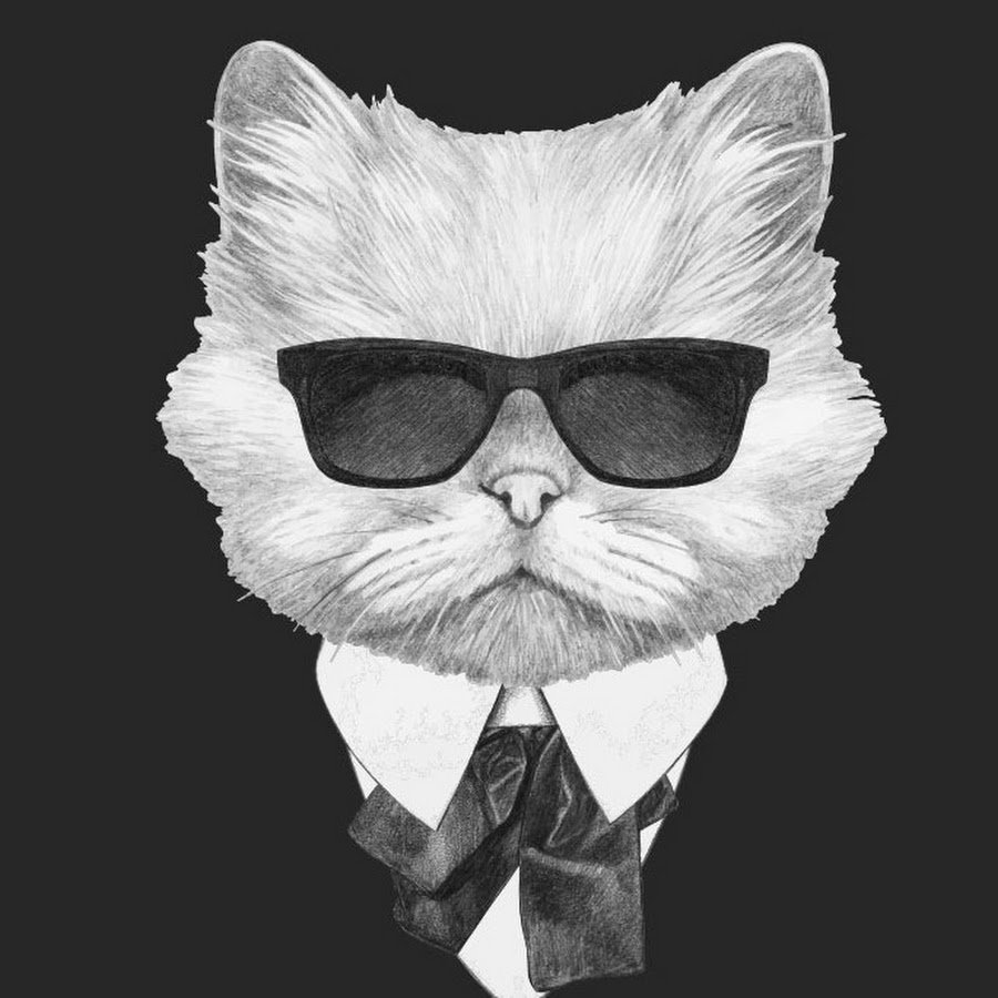 Крутой кот с ножом