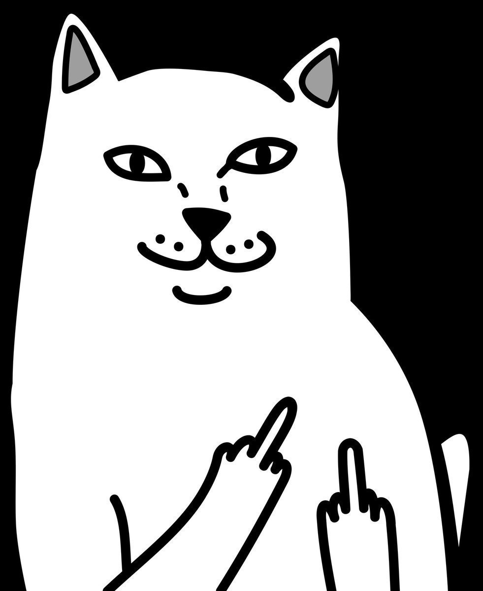 Котики на аву