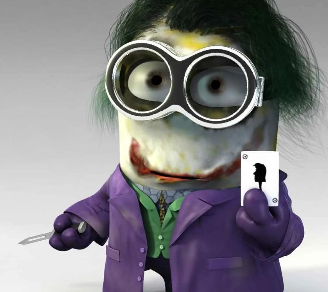 Крутой кот в капюшоне