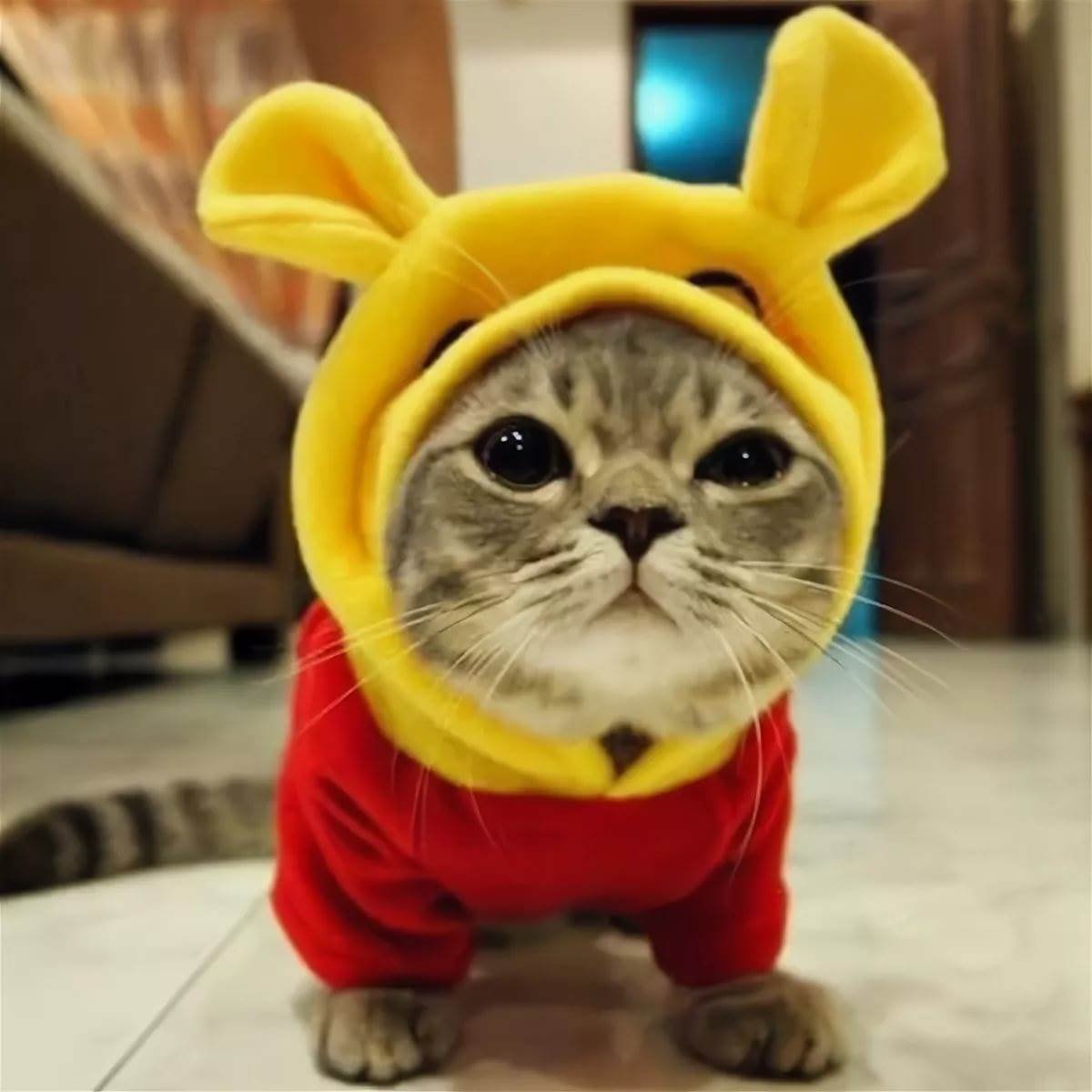 Парень с девушкой в машине