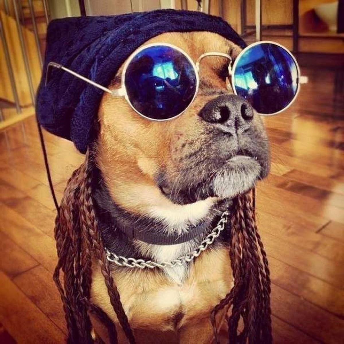 Лягушонок Кермит Пепе