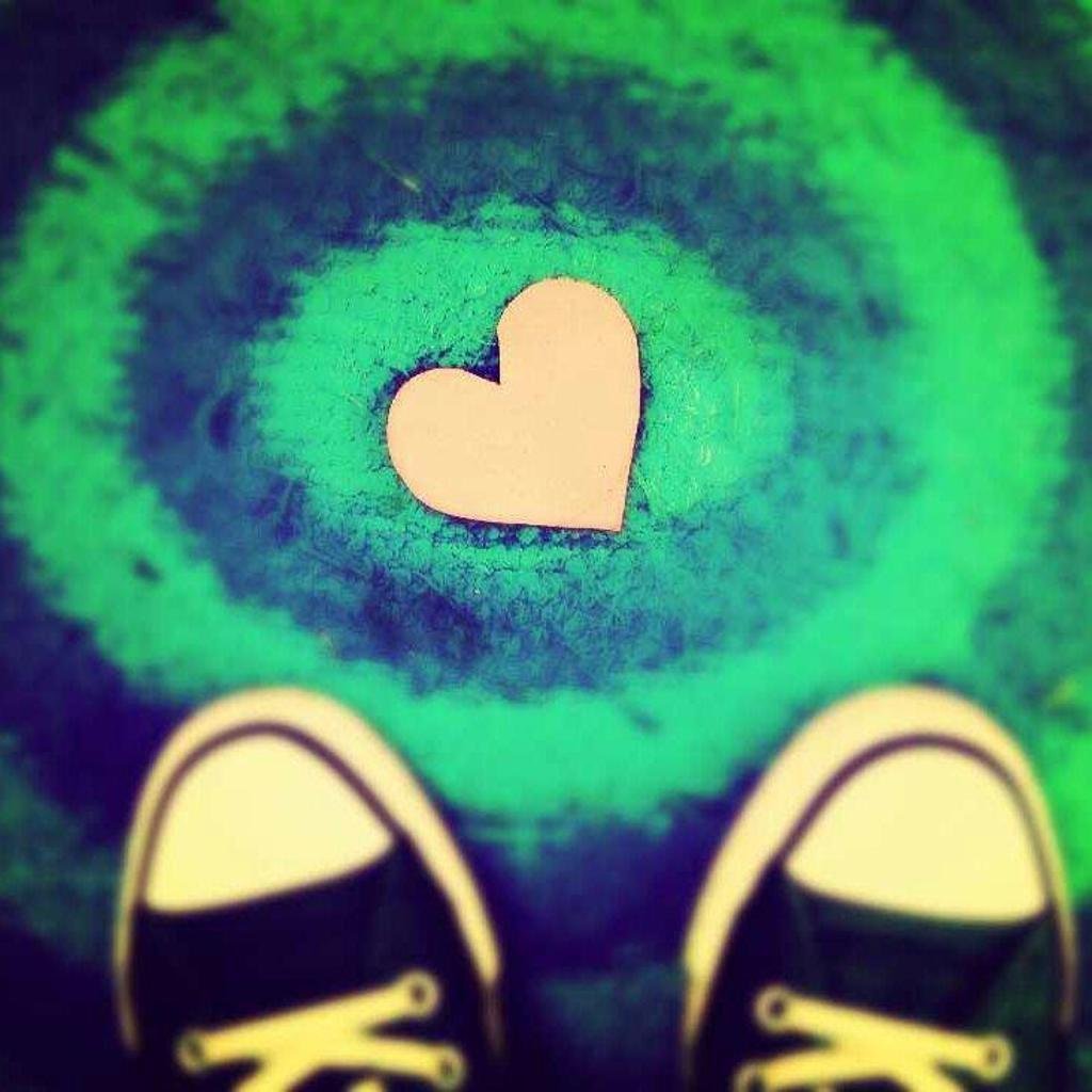 Кот в капюшоне