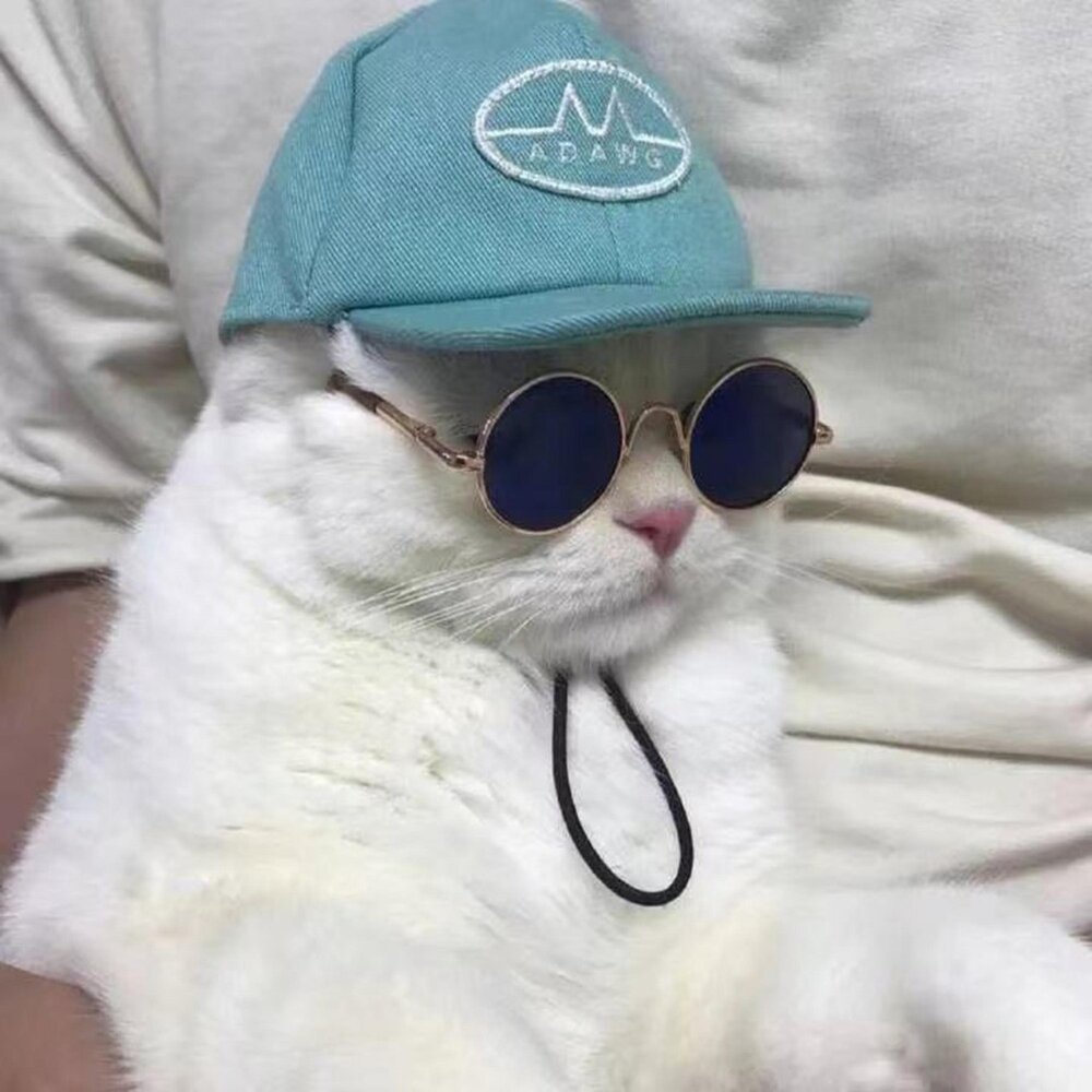 Обои на телефон для девочек