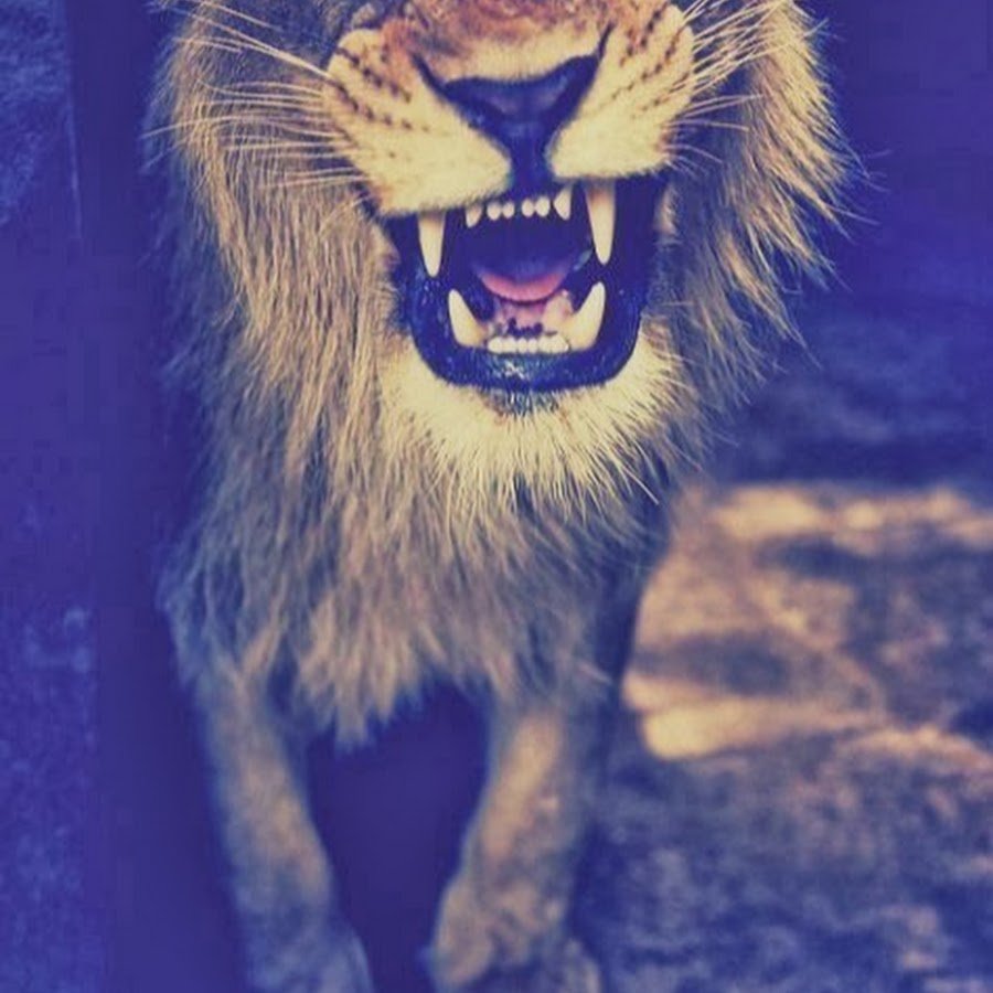 Аватар для беседы