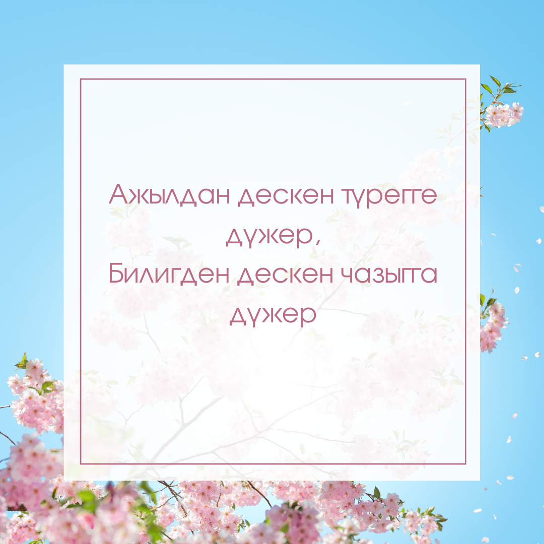 Улегер домактар Шагаа