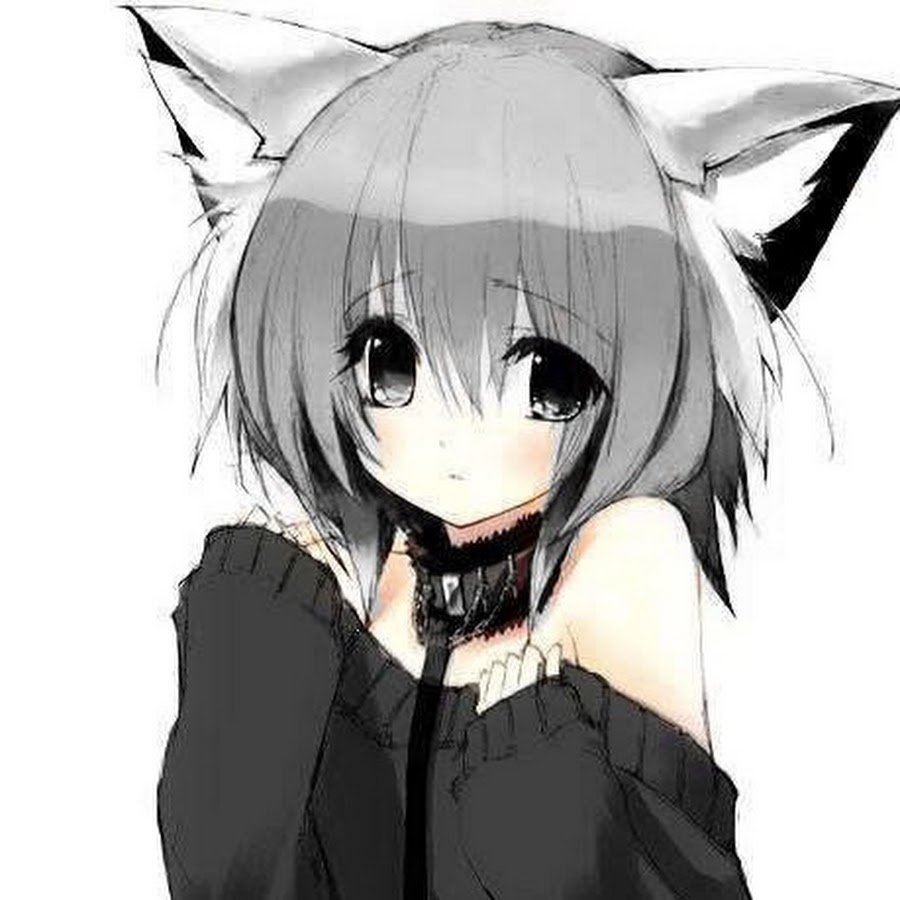 Аниме котики девушки