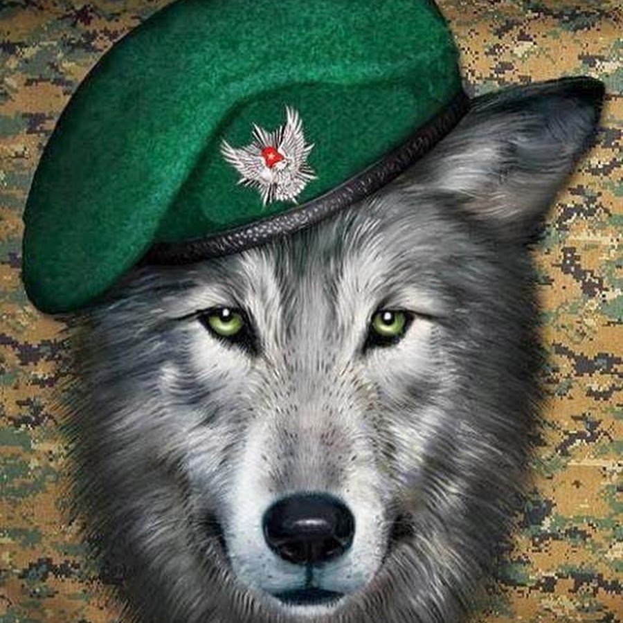 Аватарки военные ссср