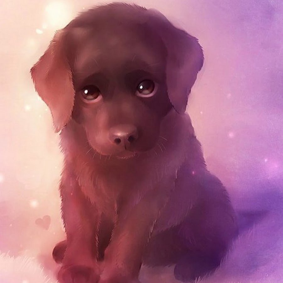 Белый тигр с голубыми глазами