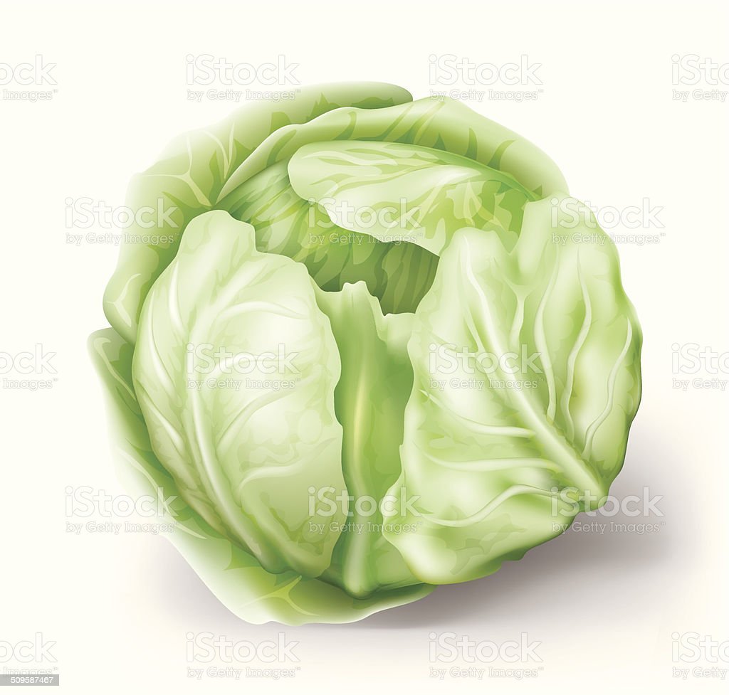 Векторная капуста