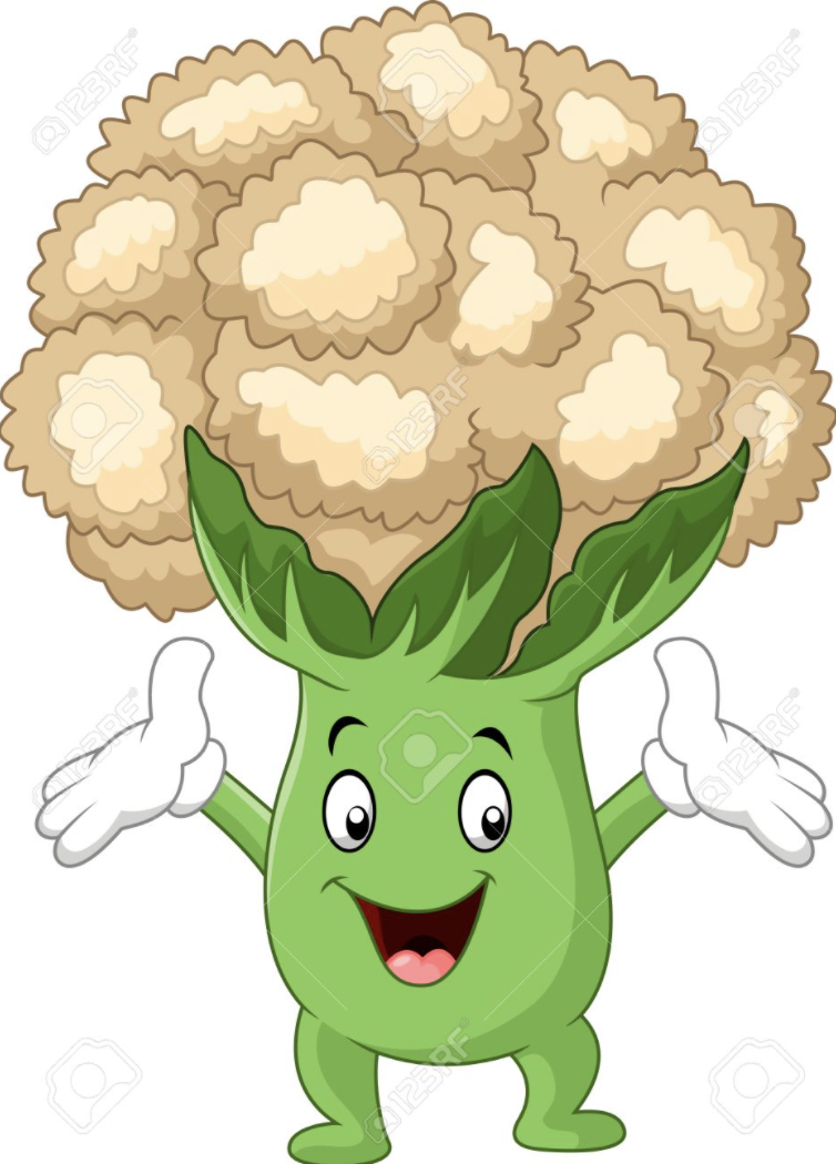 Кочан капусты