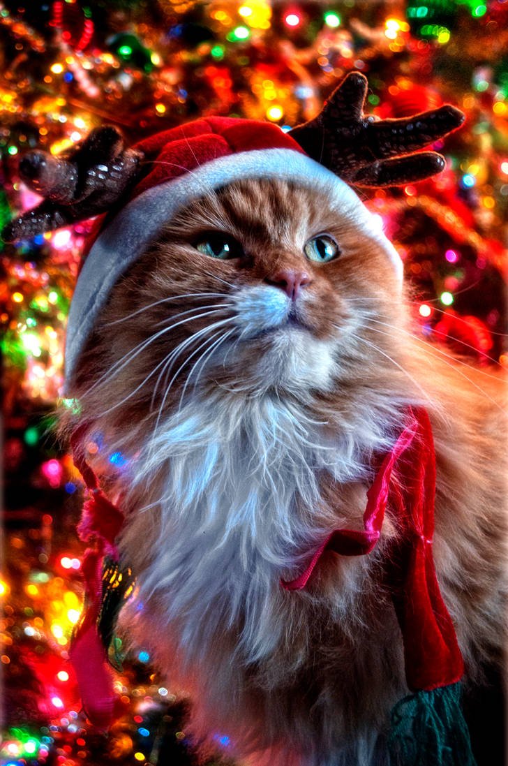 Мультяшные новогодние девушки