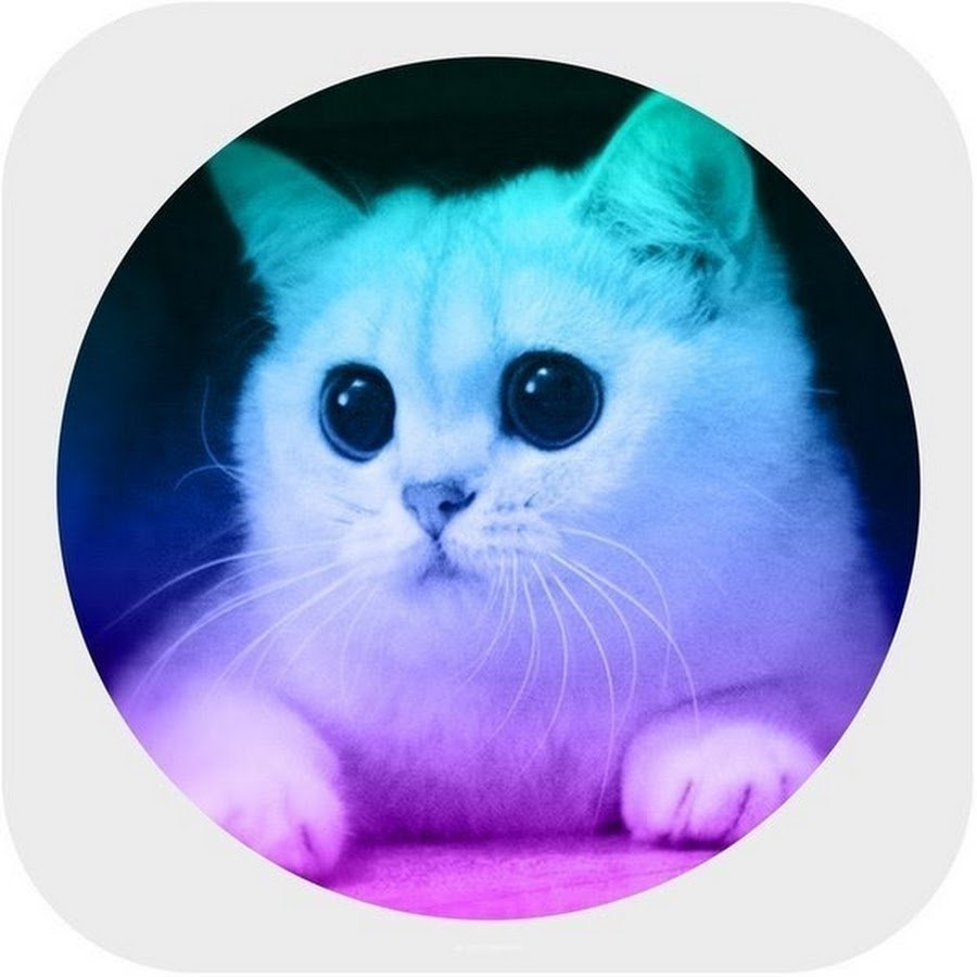 Крутая буква y