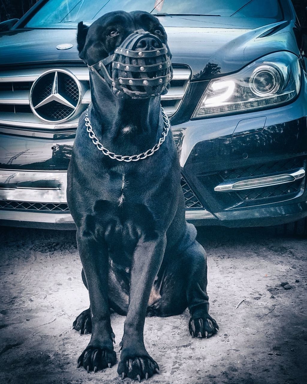 Любовь наушники