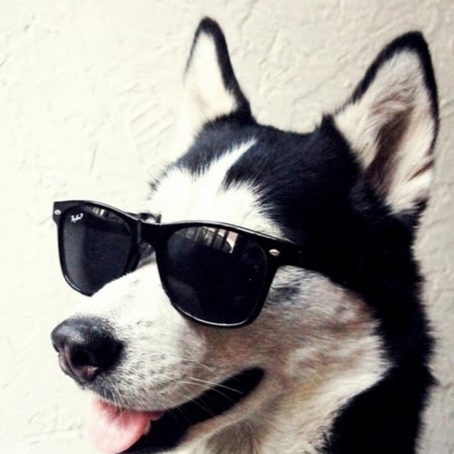 Аватарка авито