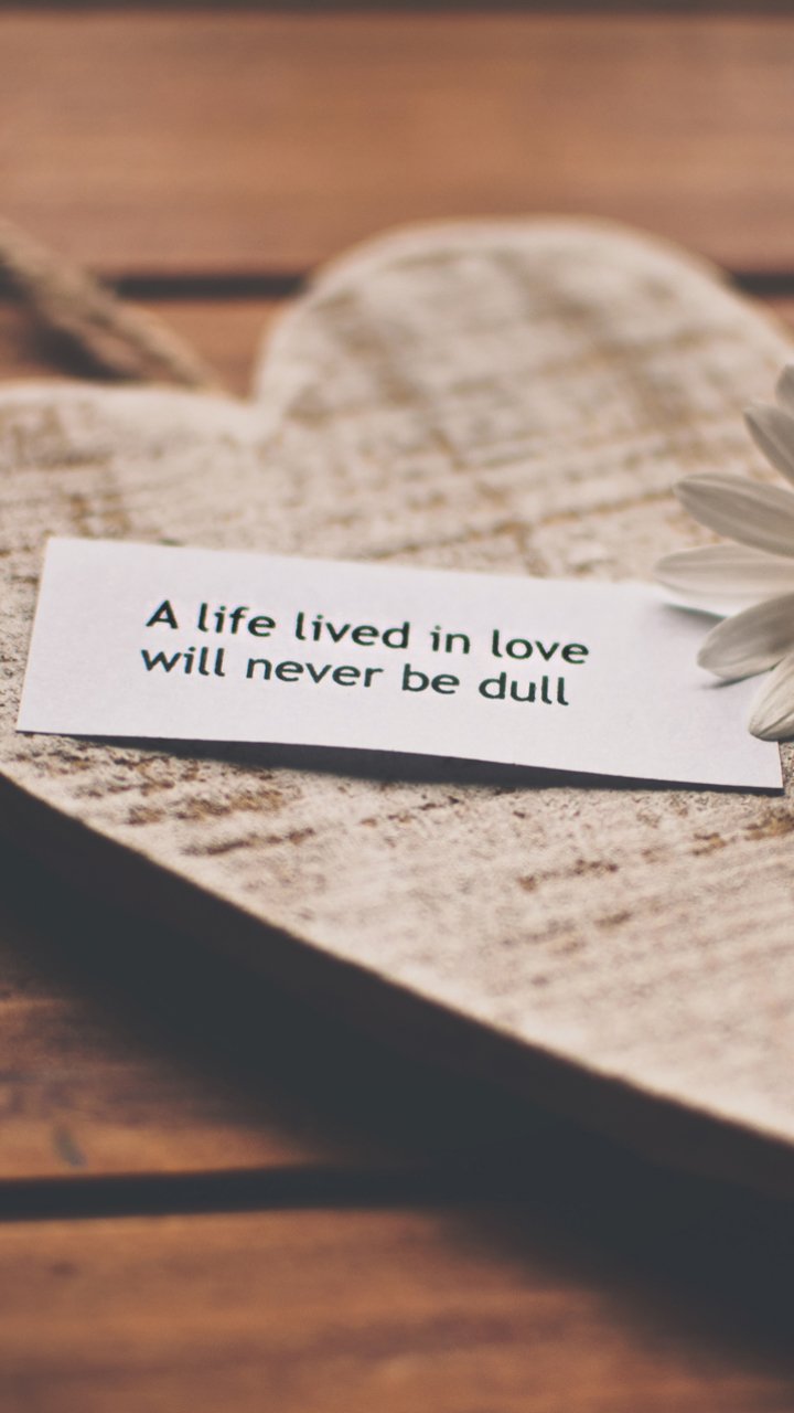 Новая любовь