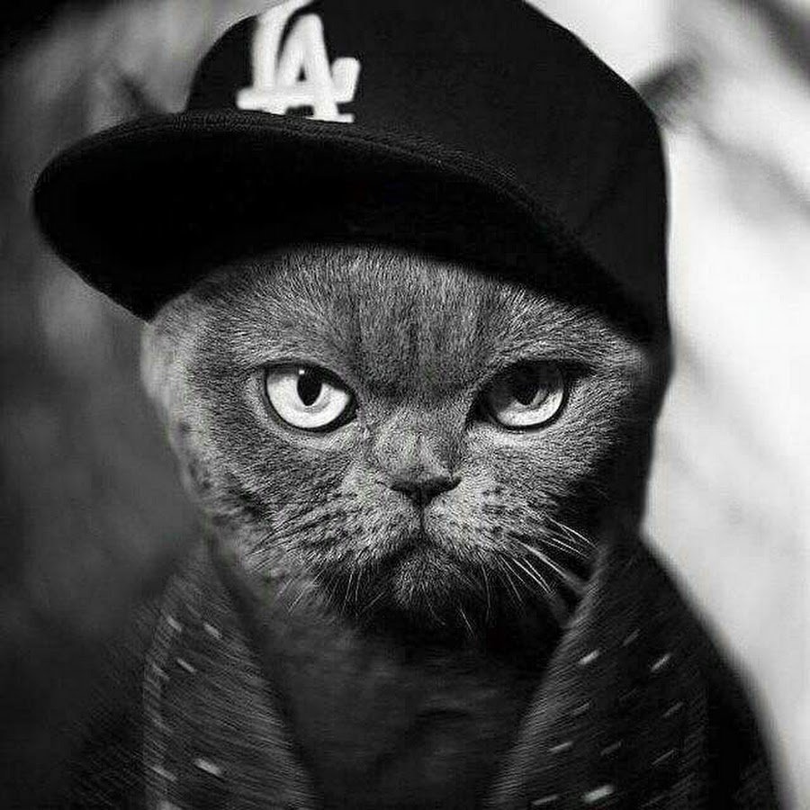 Авы для пацанов смешные