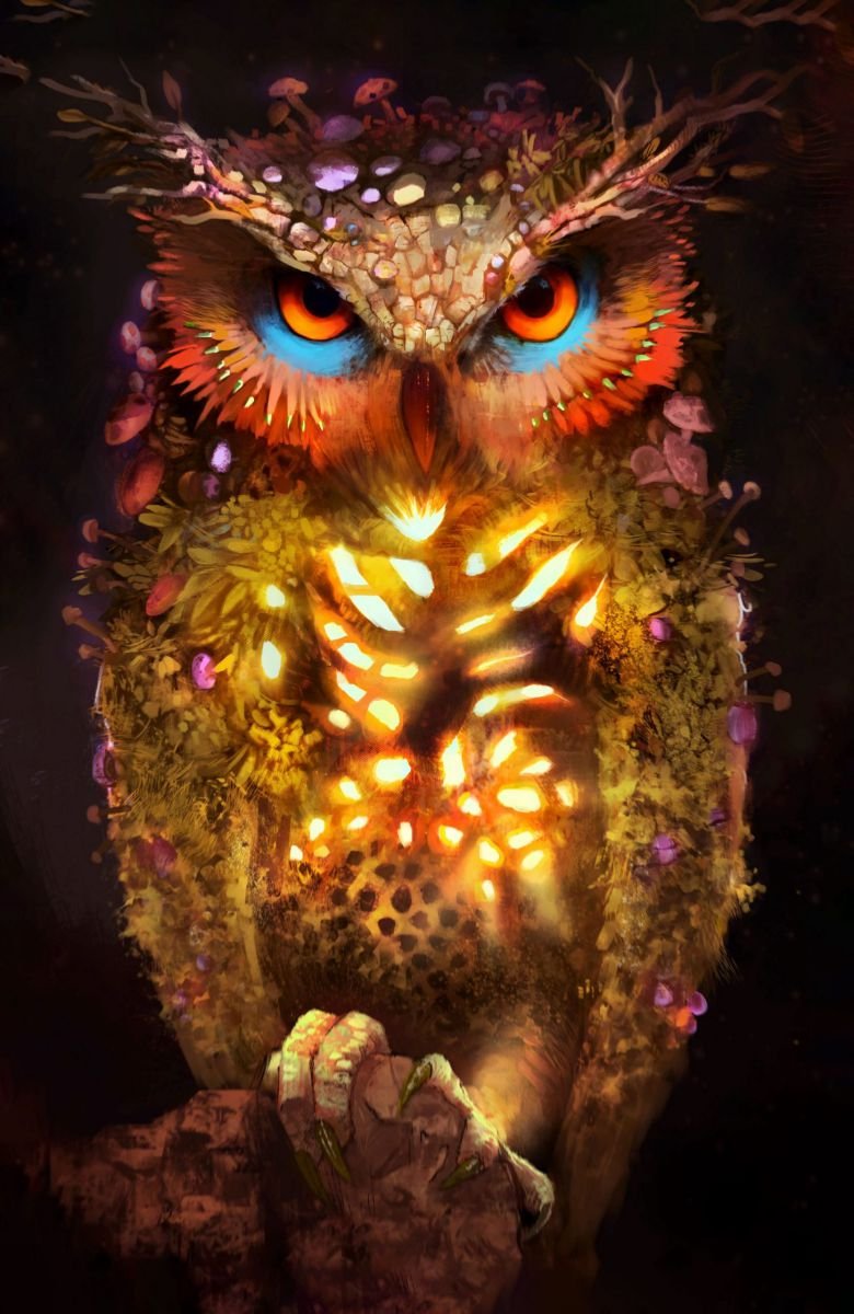 Магическая Сова