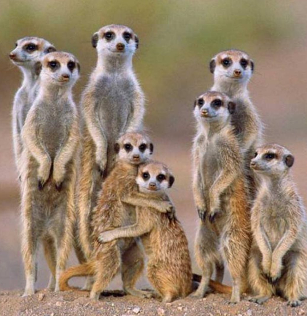 Счастливая семья рисунок