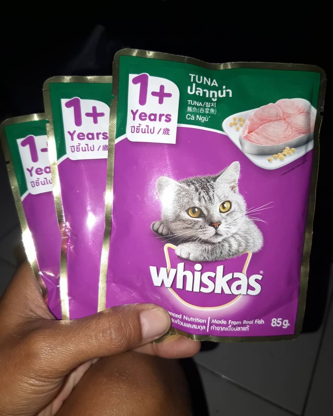 Реклама вискас на Россия 1