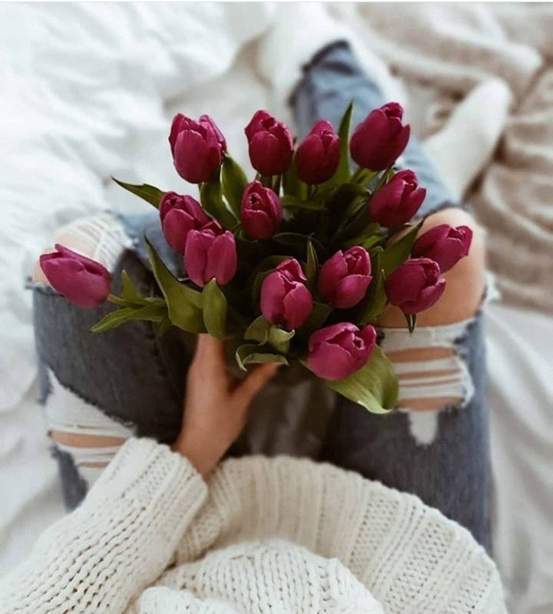 Желтые тюльпаны Пинтерест