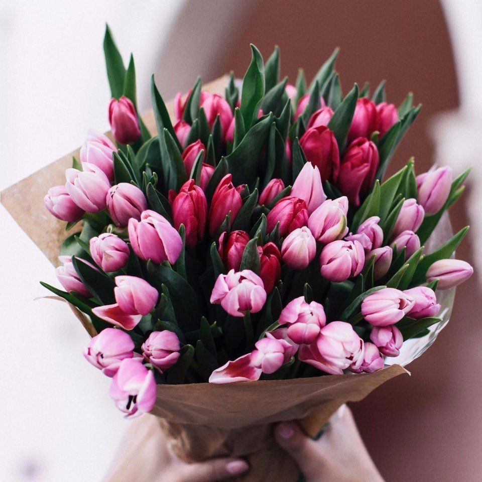 Открытка море тюльпанов