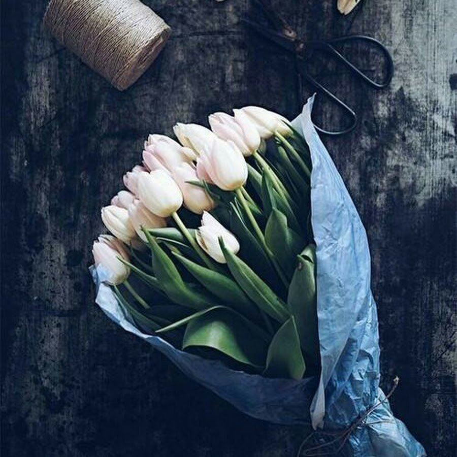 Фото тюльпанов на аватарку