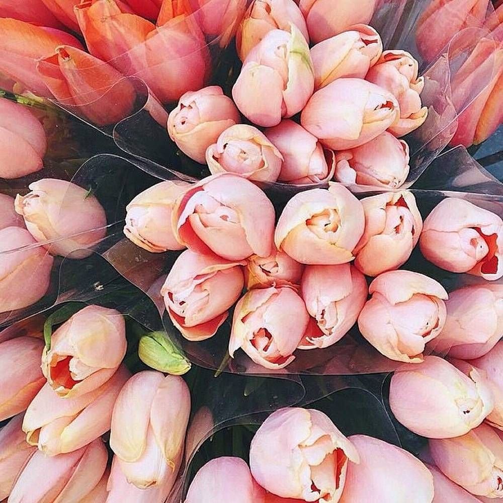 Виктория Державина