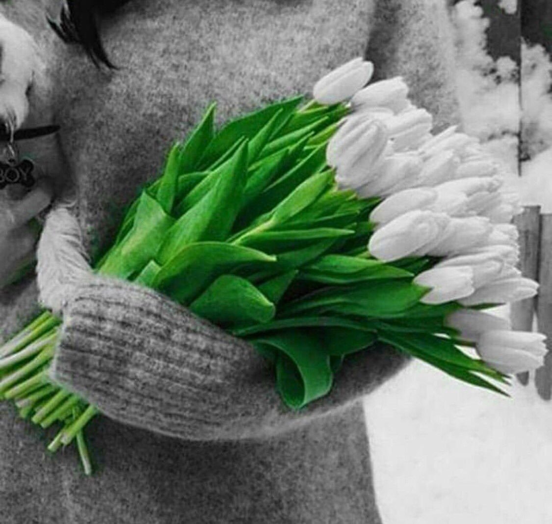 Аватарка тюльпаны