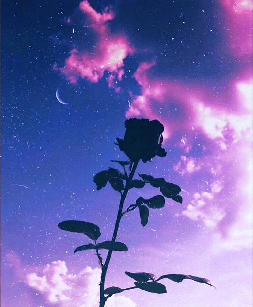 Вапорвейв Эстетика