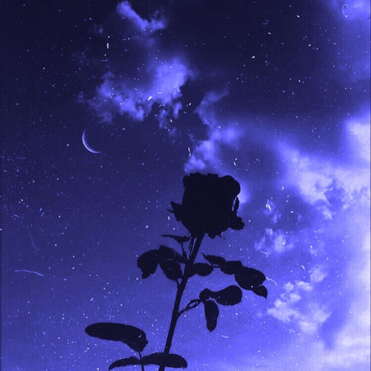 Дрейн aesthetic Purple